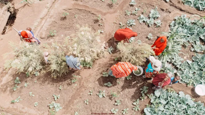 projets restauration de la nature AFD